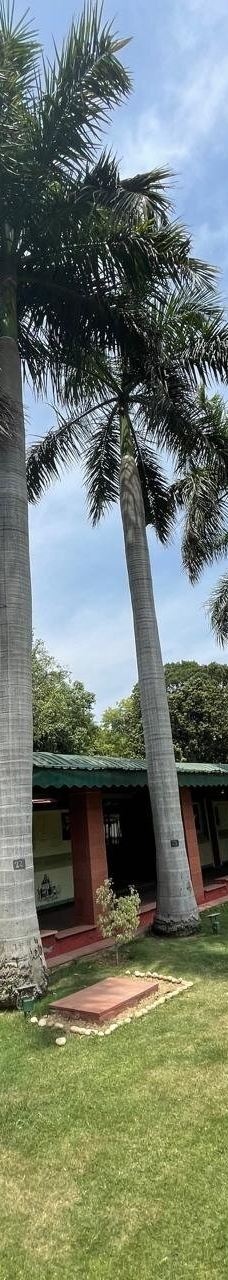 萨夫达尔疆陵墓-新德里