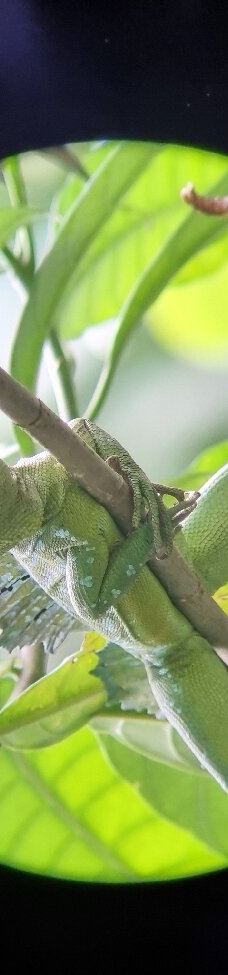 卡维塔国家公园-Talamanca