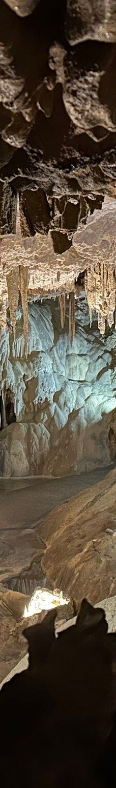 Grottes de Betharram-圣佩德比戈尔