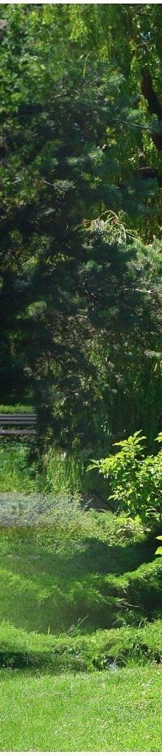 Danube Park-诺维萨德