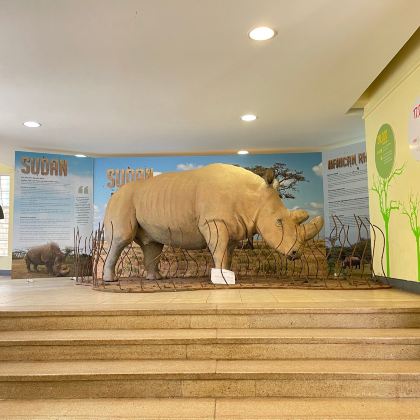 肯尼亚内罗毕+安博塞利国家公园+桑布鲁+地狱之门国家公园+马赛马拉国家保护区11日10晚自由行