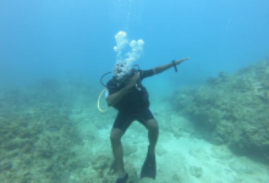 Northern Coast Diving购物图片