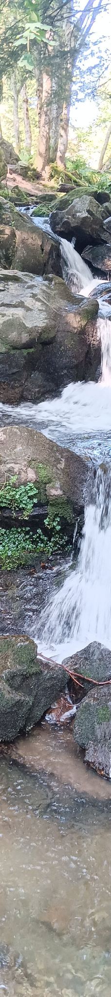 Todtnau Waterfall-托特瑙