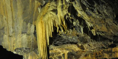 Mitchelstown Cave