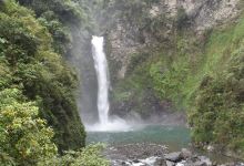 Tappiyah Falls景点图片