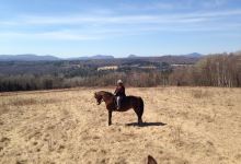 D-N-D Stables Guided Trail Rides景点图片