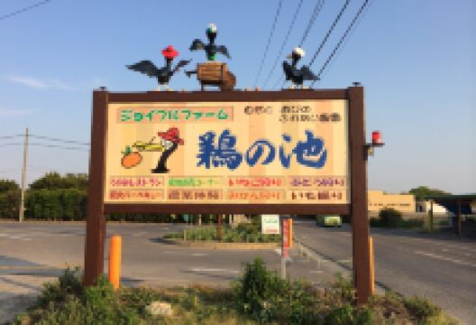 ジョイフルファーム 鵜の池景点图片