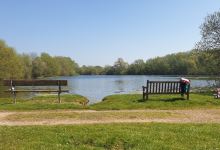 Emberton Country Park景点图片