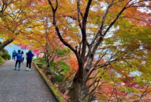 永源寺景点图片