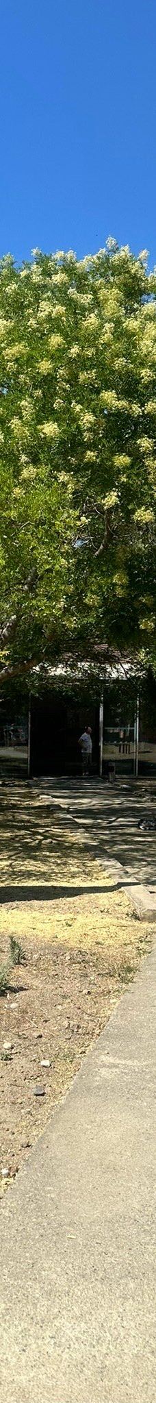 Musee des Dinosaures 'Dinosauria'-埃斯佩拉扎