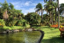 Jardim Botanico景点图片