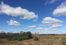 Woodland Dunes Nature Center景点图片