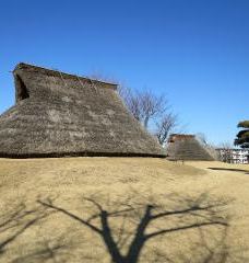 本町田遗迹公园-町田市