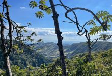 Valle Escondido Preserve景点图片