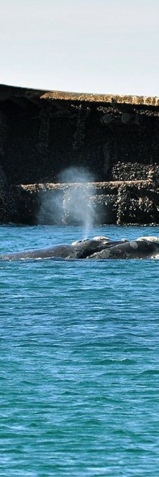 Playa Parana-别德马