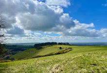 Melbury Downs景点图片