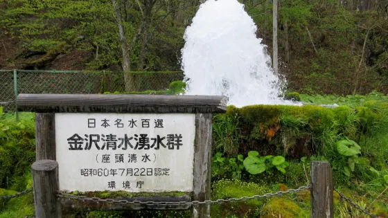 金沢清水湧水群