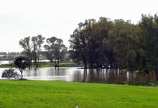 Barragem do Barrocal景点图片