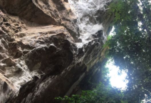 Ethnobotany Park景点图片