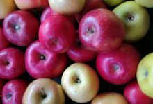 Iizuna-Machi Iizuna Apple Museum景点图片