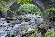 Foret de Vizzavone景点图片