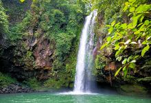 Ambon-Ambon Falls景点图片