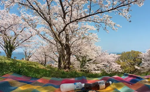 Tebikigaoka Park