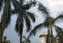 Shivalaya Mandir景点图片