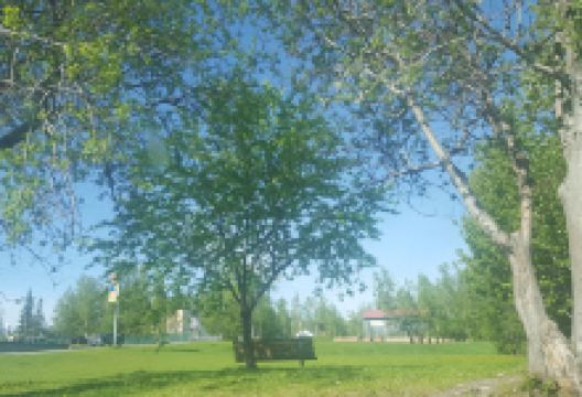 Nunley Park Wasilla Parks & Recreation景点图片