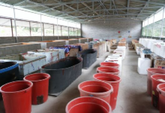 trang trại tắc kè ngọc viên景点图片
