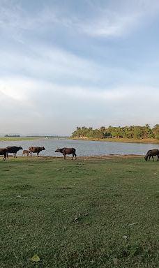 Yoda Lake-汉班托特