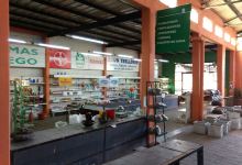 VIVERO LAS VERBENAS购物图片