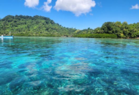 Simon’s Nature Reserve (Simon’s Bay)景点图片