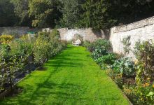 Walled Garden Treberfydd购物图片