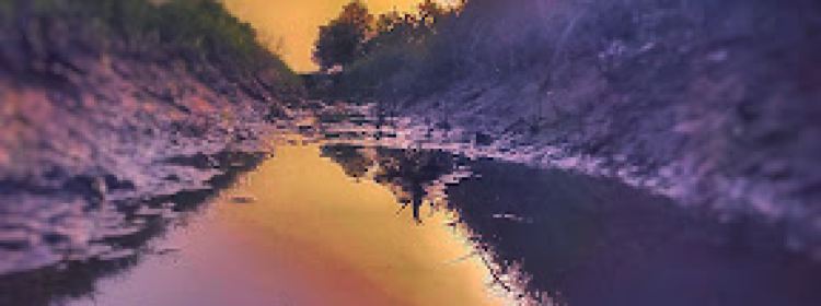 1440603891
