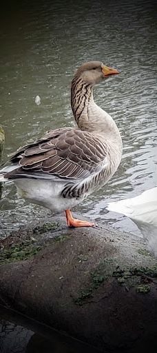 Waverly Park Parking-奥尔巴尼