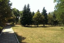 Tsentralʹnyy Park景点图片