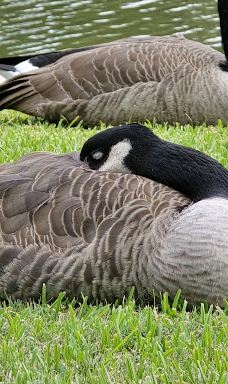 Texarkana Parks & Recreation-特克萨卡纳