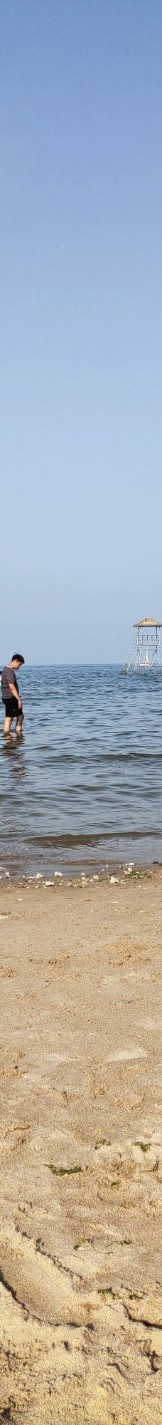 鸽子窝海鸥海滩-秦皇岛