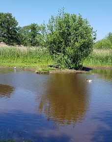 Vogelpark Niendorf-蒂门多尔费尔斯特兰德