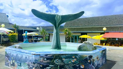 留尼汪島水族館