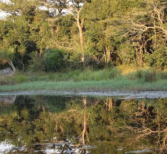 Kuleni Game Park