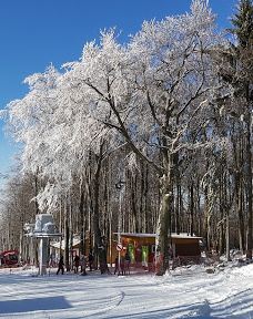 TV and observation tower-珍珠河
