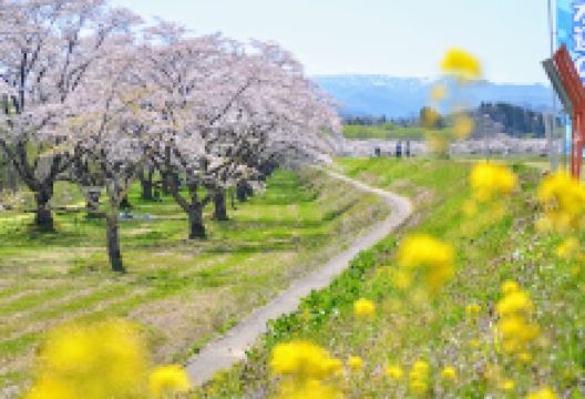 雫石川园地景点图片