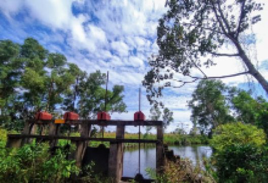 Kirala Kele Sanctuary景点图片