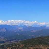 高山尼图片
