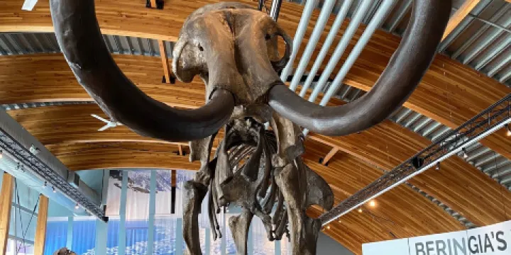 育空史前動植物中心