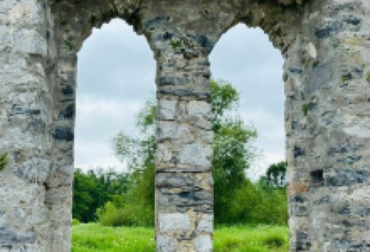 Desmond Castle景点图片