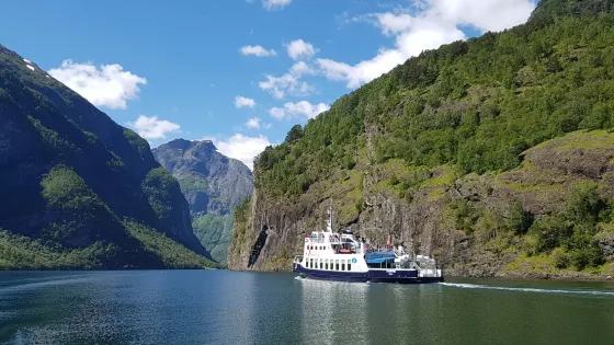Naeroyfjord