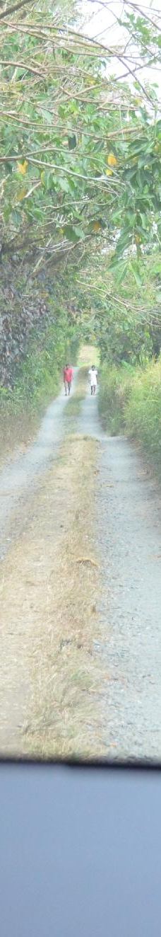 Ilog Maria Honeybee Farm-锡朗